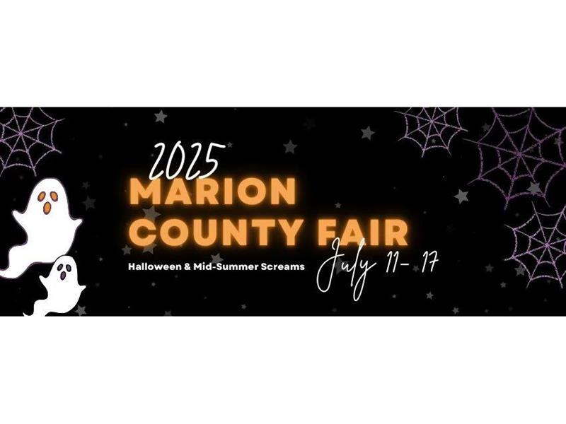 Fair Logo